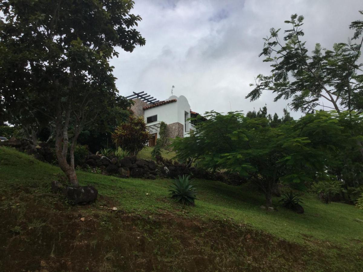 Hawk'S Nest Bed & Breakfast La Laguna de San Carlos Exterior foto