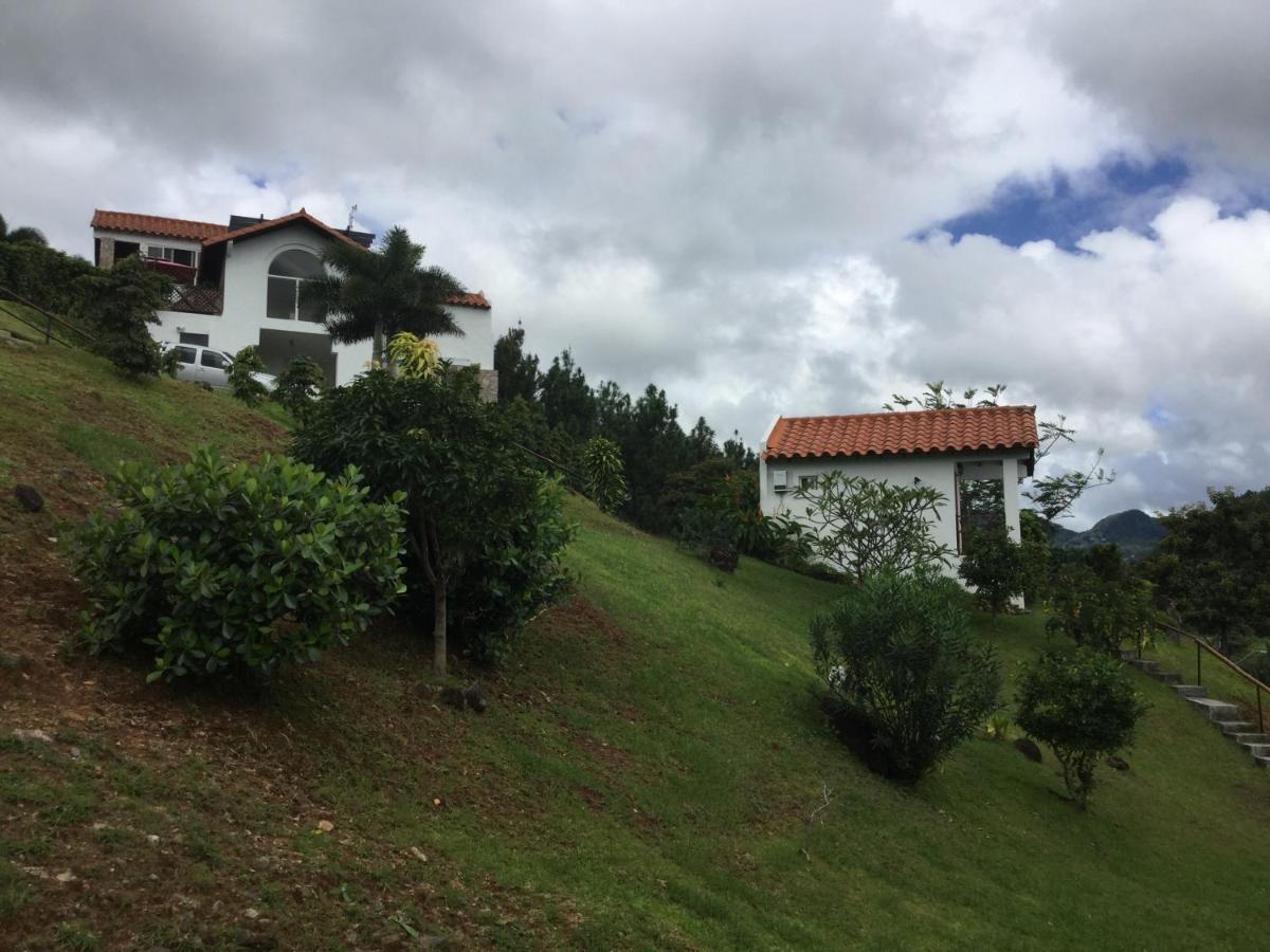 Hawk'S Nest Bed & Breakfast La Laguna de San Carlos Exterior foto