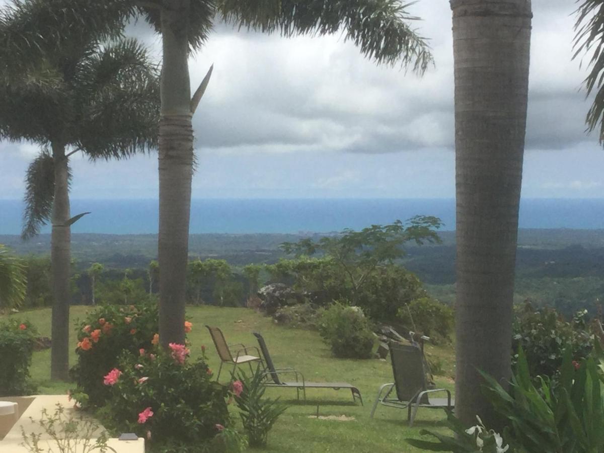 Hawk'S Nest Bed & Breakfast La Laguna de San Carlos Exterior foto